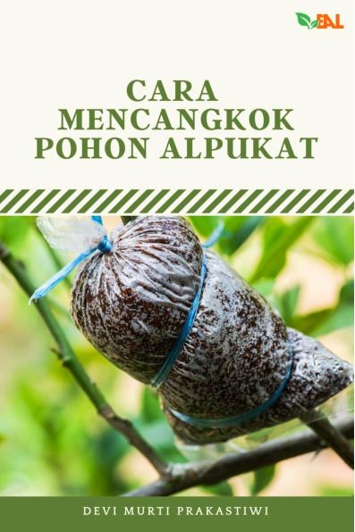 Cara Mencangkok Pohon Alpukat
